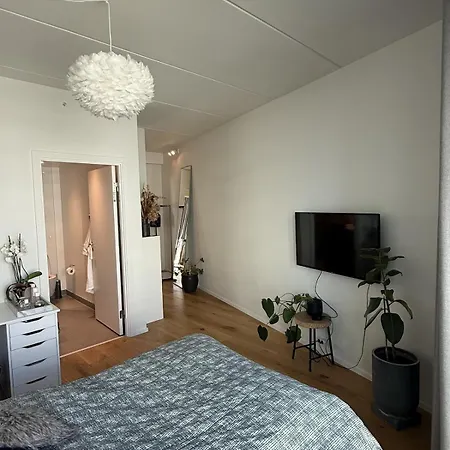 Modern Interior Lägenhet